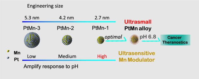 超小PtMn纳米颗粒作为敏感的锰释放调节剂用于特异性癌症治疗